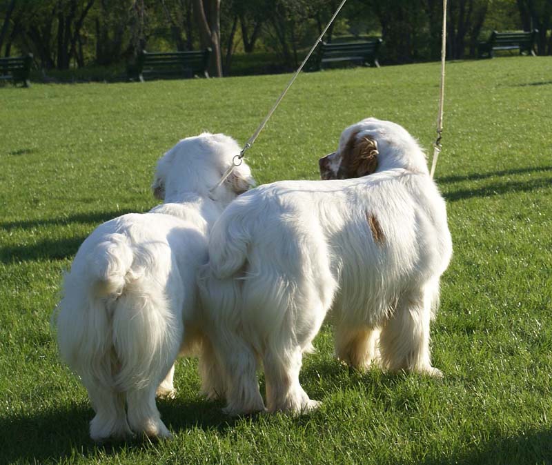 Nexus_Landslide_Nexus_Atonement