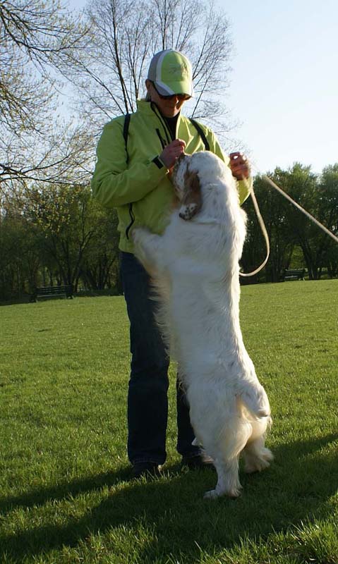 Nexus_Landslide_with_Mari