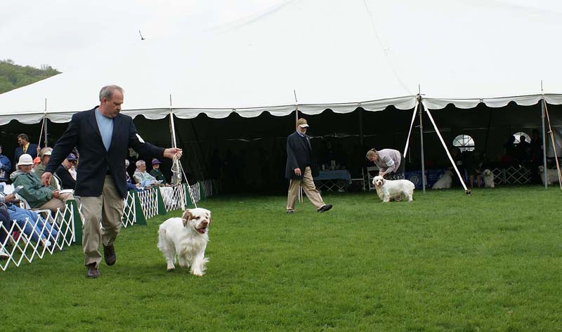 Nexus_Redemption_Shoguns_The_Good_Doctor