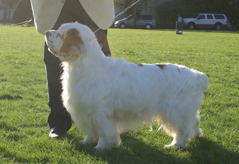 Nexus_Seduced_by_Dark_Side