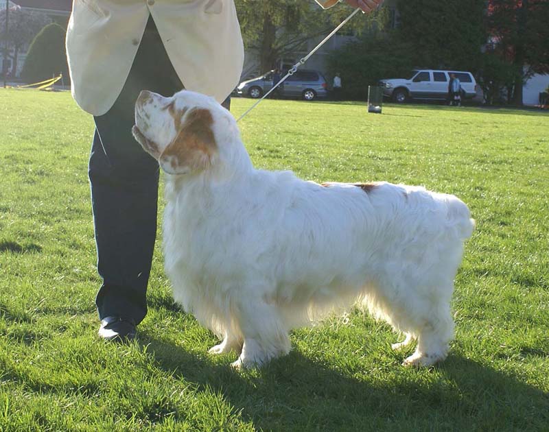 Nexus_Seduced_by_Dark_Side_3