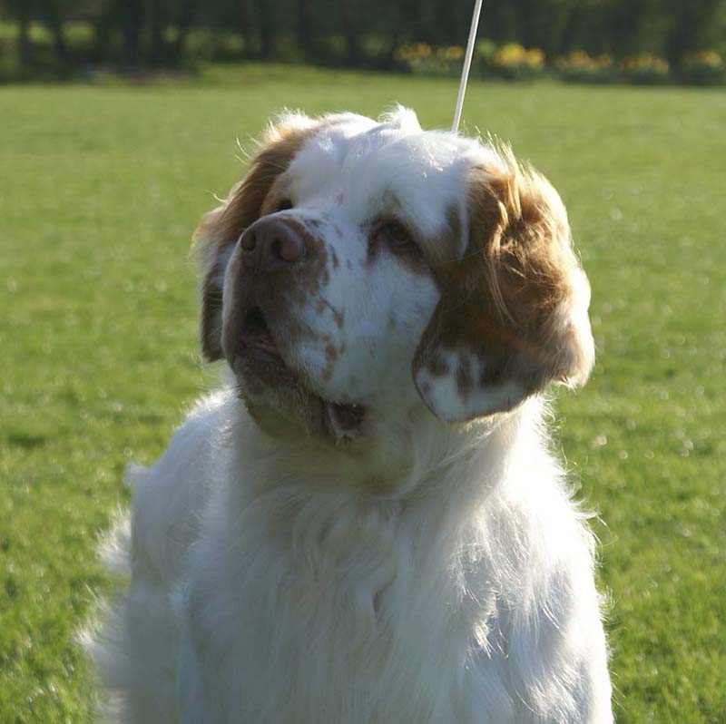 Nexus_Seduced_by_Dark_Side_4