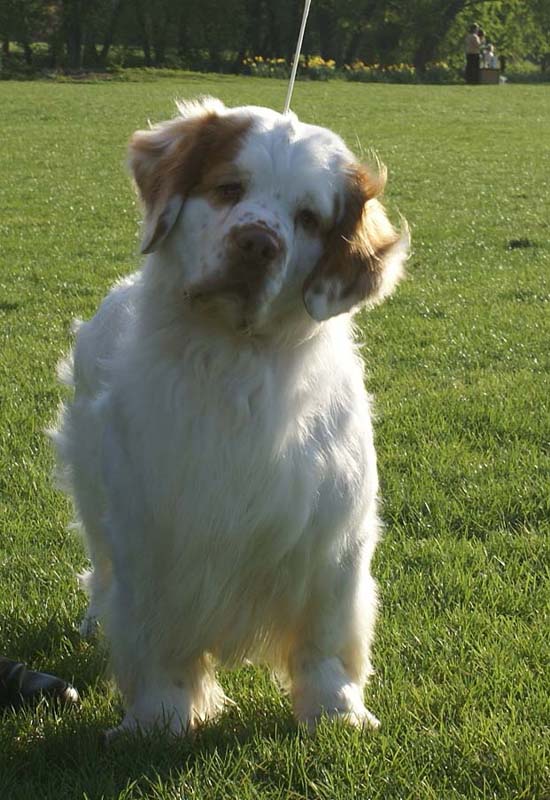 Nexus_Seduced_by_Dark_Side_5