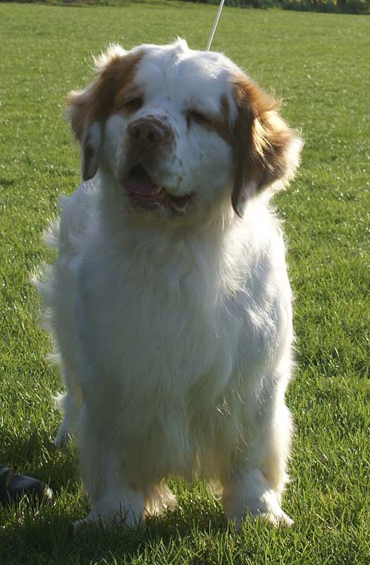 Nexus_Seduced_by_Dark_Side_6