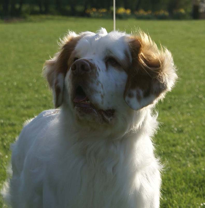 Nexus_Seduced_by_Dark_Side_7