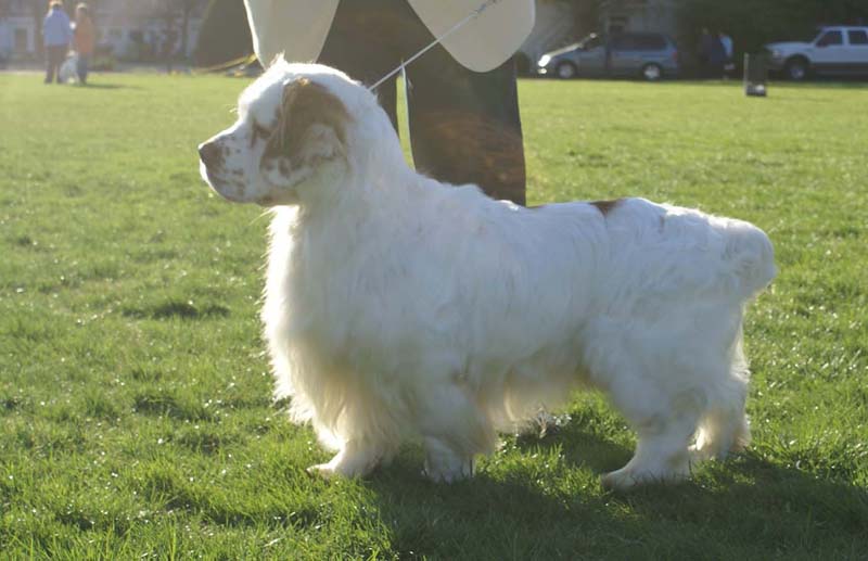 Nexus_Seduced_by_Dark_Side_8