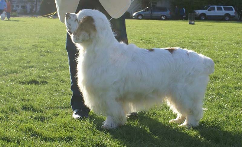 Nexus_Seduced_by_Dark_Side_9