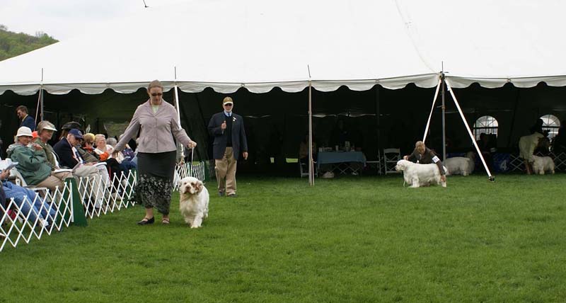 ShoGuns_The_Good_Doctor