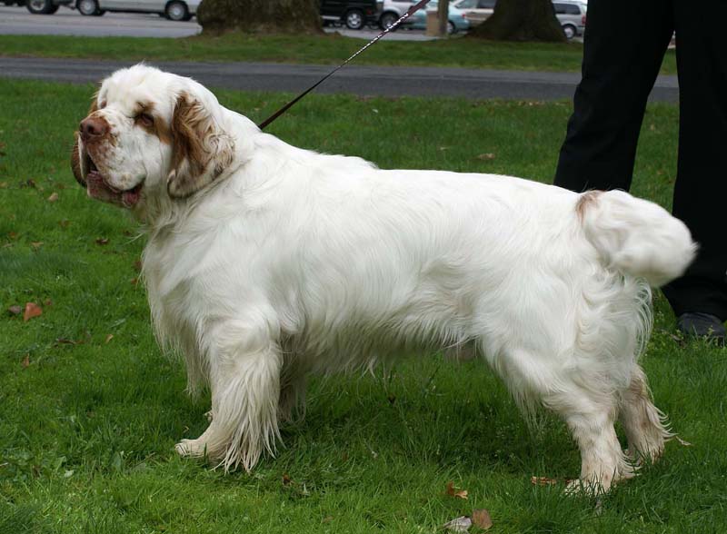 ShoGuns_Winter_Warmer_1