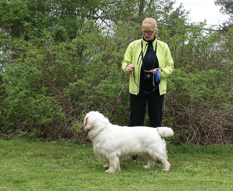 ShoGuns_Winter_Warmer_Mari