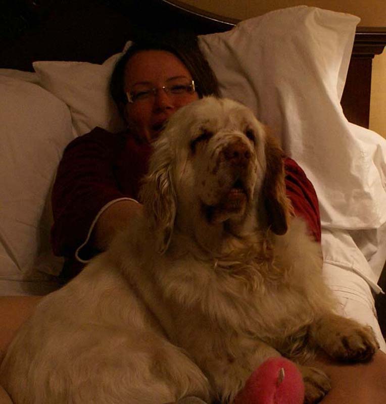 Shoguns_Angelina_Ballerina_our_room_mate_b