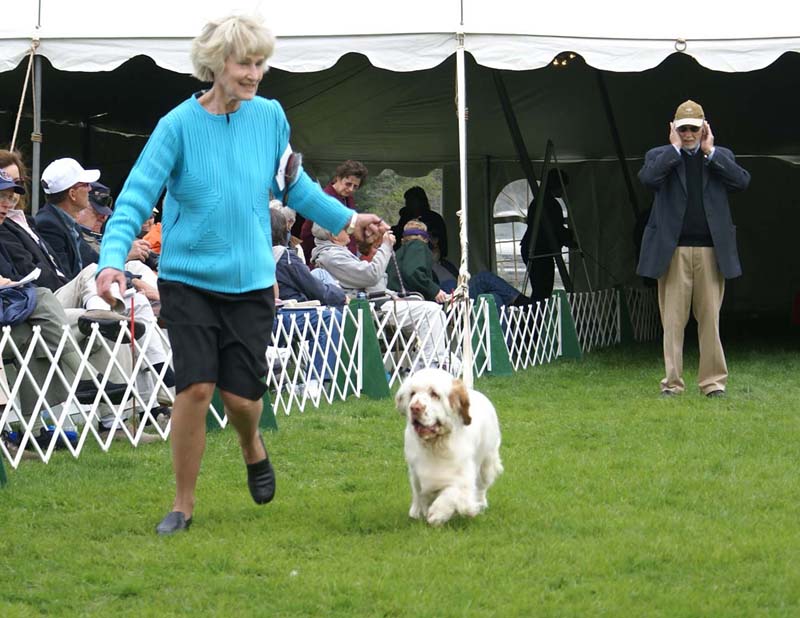 Shoguns_Angelina_Ballerina_with_Helen