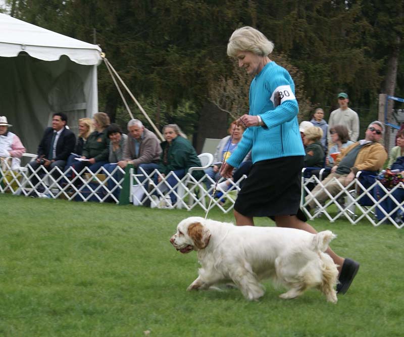 Shoguns_Angelina_Ballerina_with_Helen_b