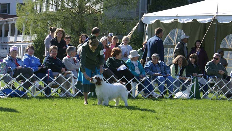 Shoguns_Banana_Oil_1