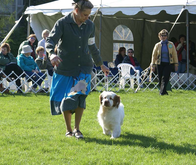 Shoguns_Banana_Oil_2