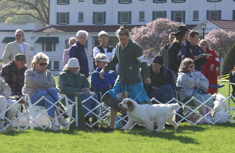 Shoguns_Banana_Oil_3