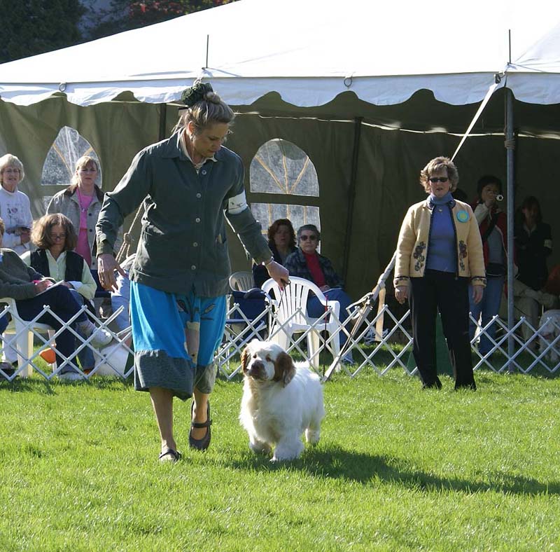 Shoguns_Banana_Oil_5