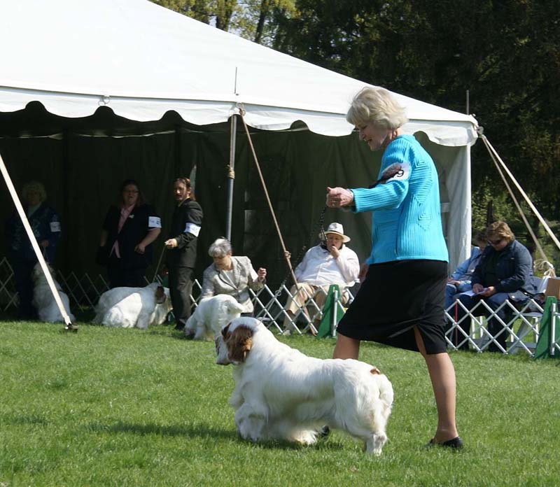 Shoguns_Cut_The_Leash