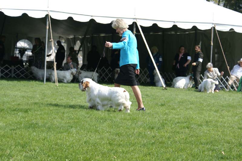 Shoguns_Cut_The_Leash_b