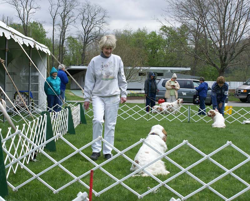 Shoguns_Funky_Diva_Helen_obedience