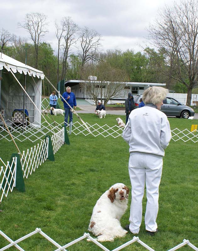 Shoguns_Funky_Diva_Helen_obedience_b