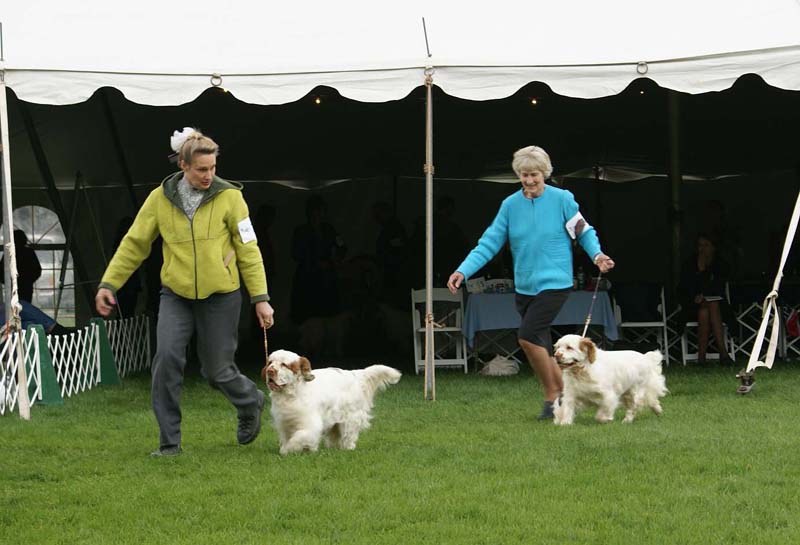 Shoguns_Funky_Diva_S_Angelina_Balleria