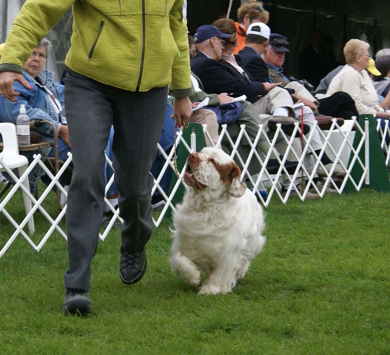 Shoguns_Funky_Diva_b