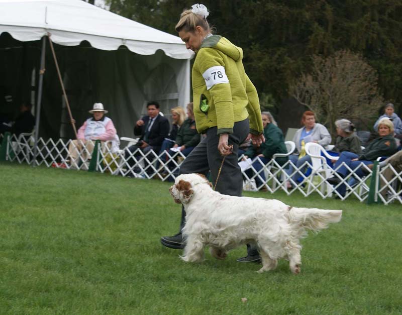 Shoguns_Funky_Diva_c