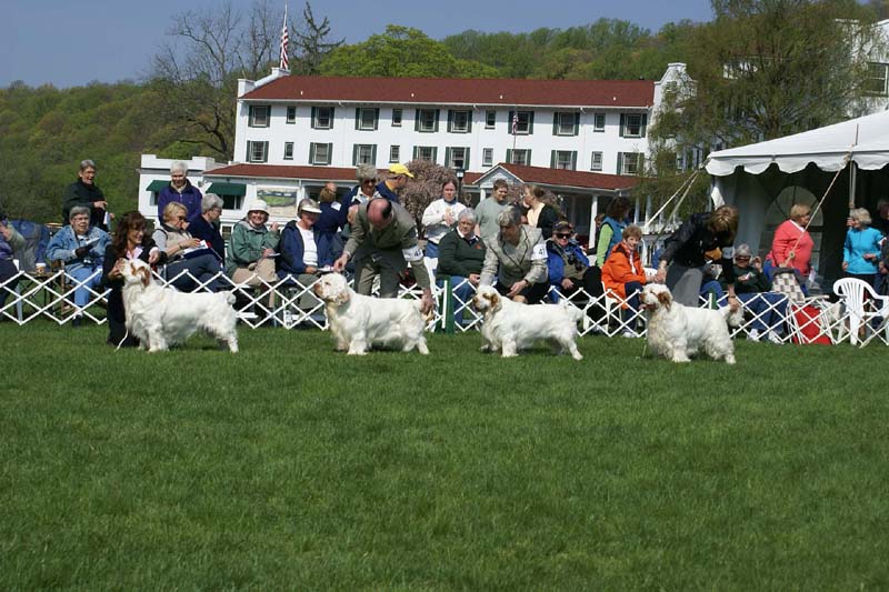 Shoguns_Little_Dividend_1st