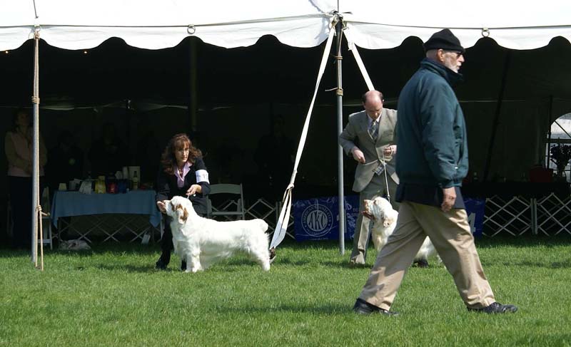 Shoguns_Little_Dividend_a