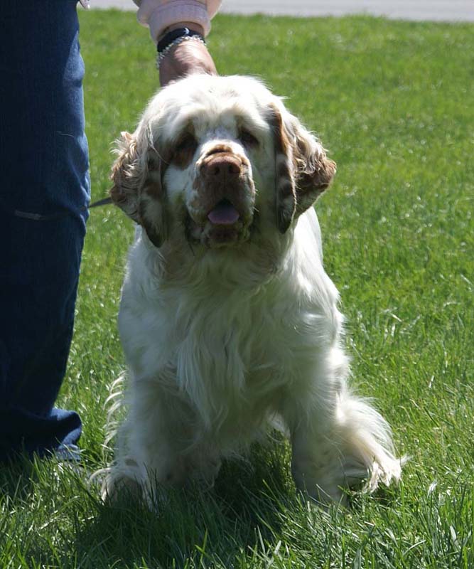 Shoguns_Nevada_Harvest