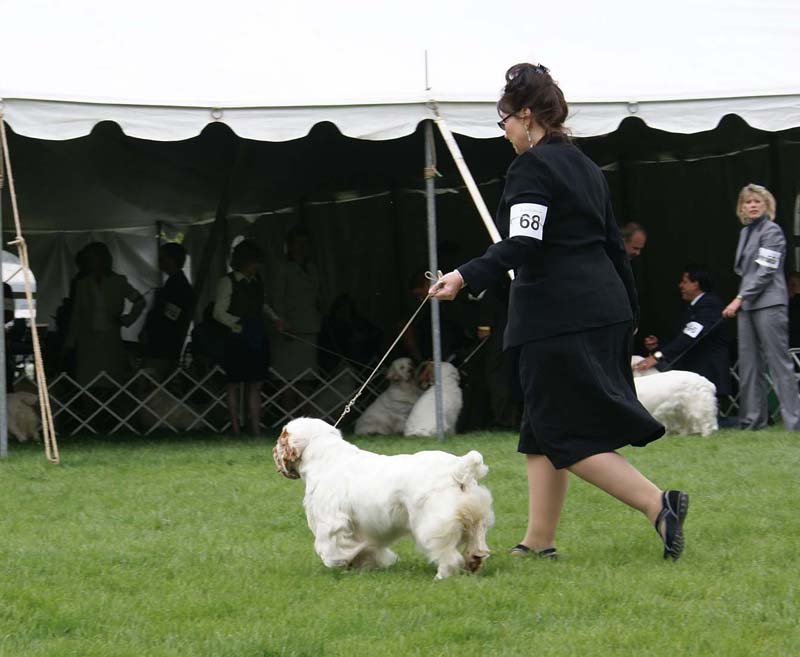 Shoguns_Nevada_Harvest_b