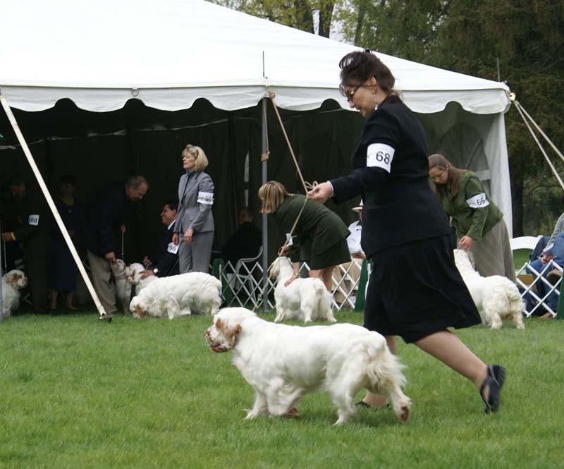 Shoguns_Nevada_Harvest_c