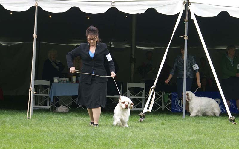 Shoguns_Nevada_Harvest_d