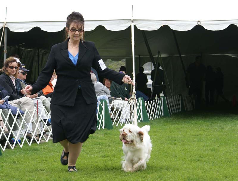 Shoguns_Nevada_Harvest_g