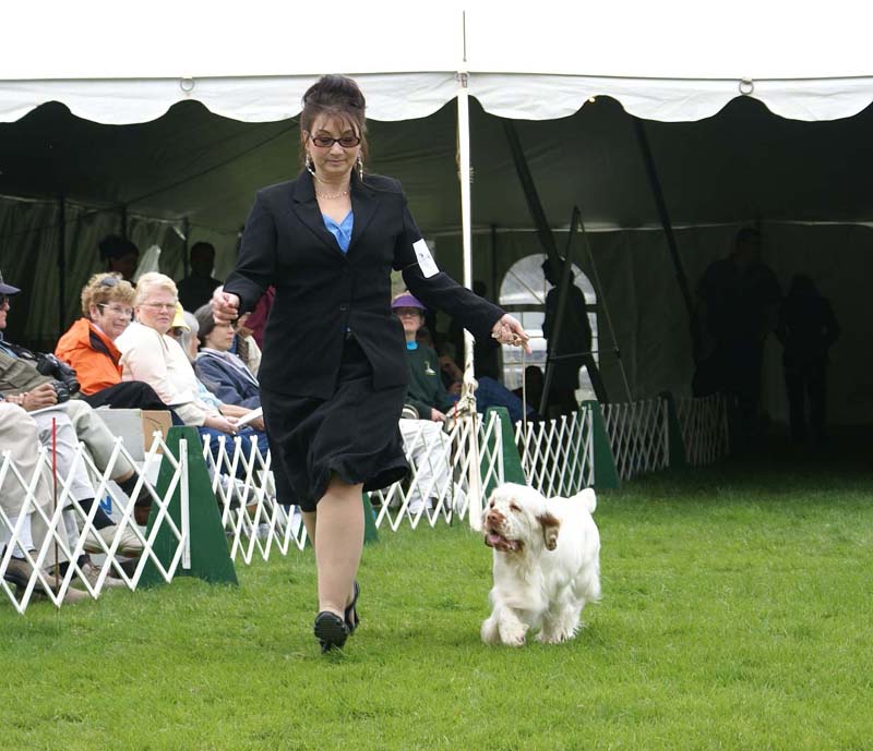 Shoguns_Nevada_Harvest_h