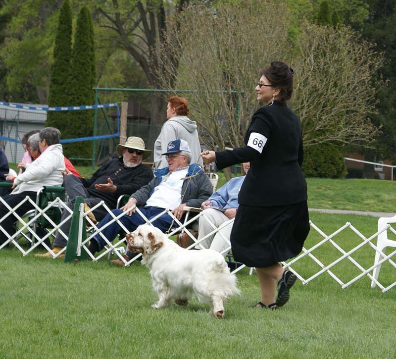 Shoguns_Nevada_Harvest_i
