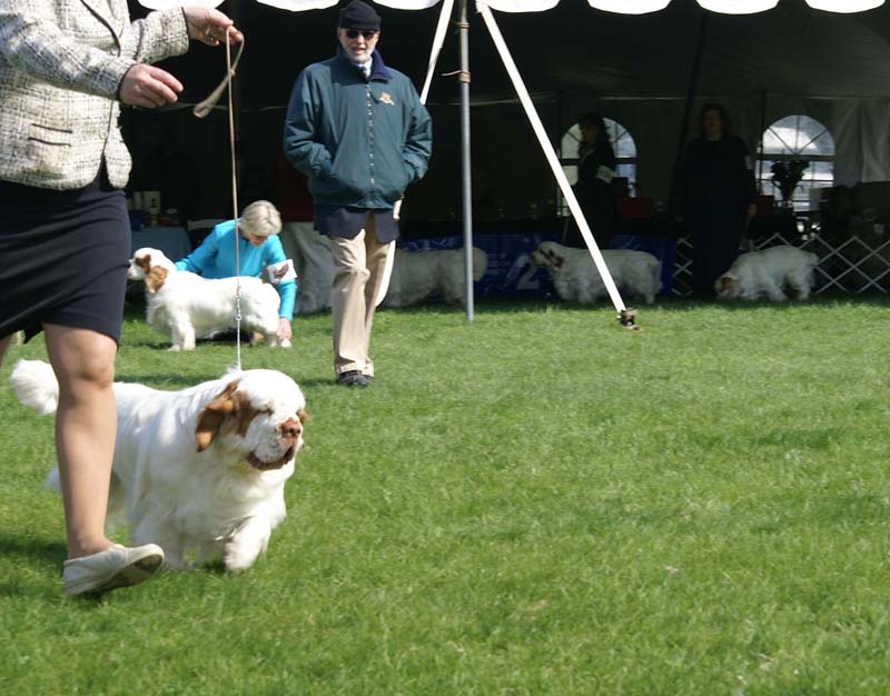 Shoguns_Winter_Warmer