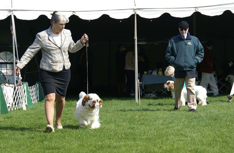 Shoguns_Winter_Warmer_b