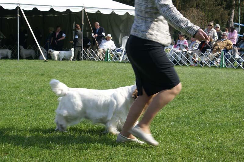 Shoguns_Winter_Warmer_d