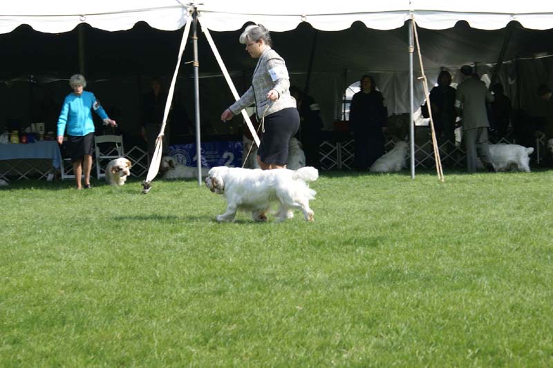 Shoguns_Winter_Warmer_e