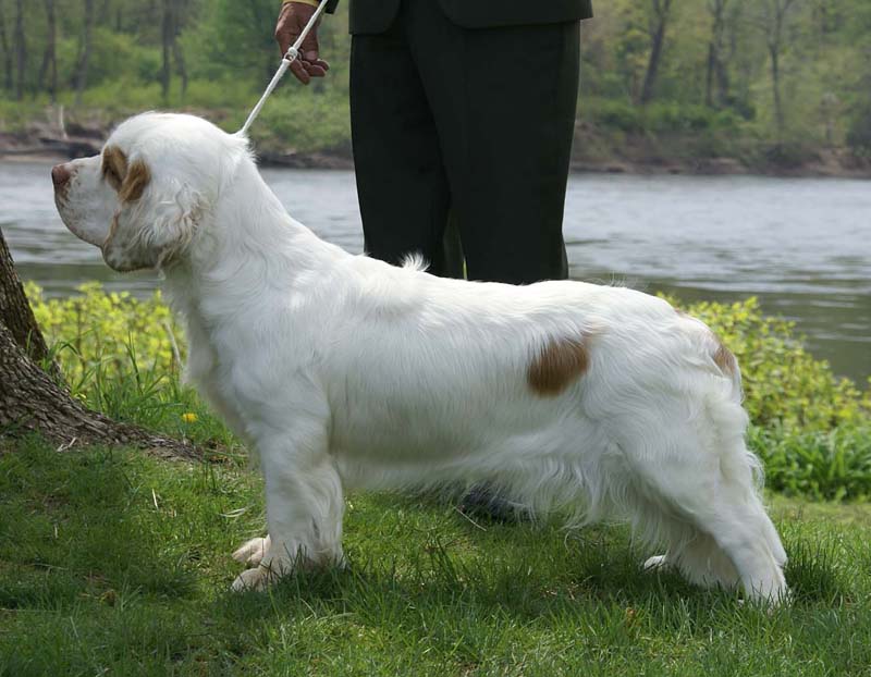 SpiceTwice_Viking_Dotta_n