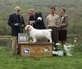 AOM_Nexus_Blind_Faith_e