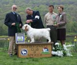 AOM_Nexus_Blind_Faith_f