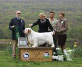 AOM_Nexus_Great_Gatsby