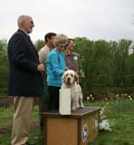 AOM_Shoguns_Angelina_Ballerina_c