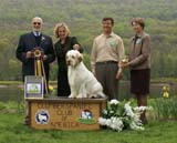 BIS_Monarch_StandnDeliver_Invergrdn_a