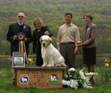 BIS_Monarch_StandnDeliver_Invergrdn_b