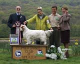 BOS_Shoguns_Funky_Diva_c