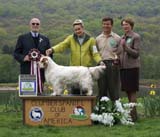 BOS_Shoguns_Funky_Diva_d